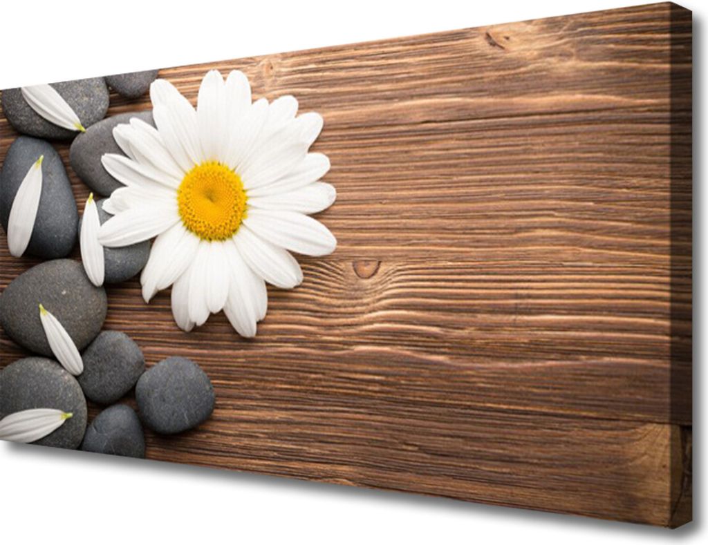 Tulup Leinwand-Bilder 100x50 Wandbild Canvas Kunstdruck Gänseblümchen Steine Pflanzen