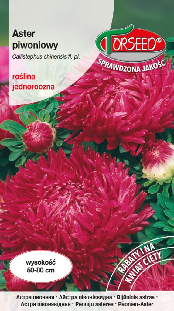 Samen von Aster hohe Pfingstrose karminrot 0.5g - Torseed