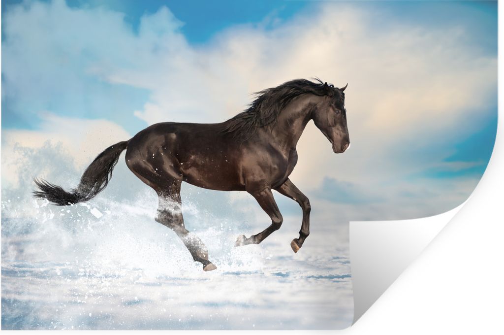MuchoWow Wandtattoo Wandsticker Wandaufkleber Schwarzes Pferd im Schnee 120x80 cm Selbstklebend und Repositionierbar - Selbstklebend - Fototapeten