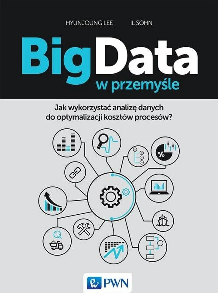 Big Data w przemyśle par Lee Hyunjoung et Sohn Il - Livre en polonais