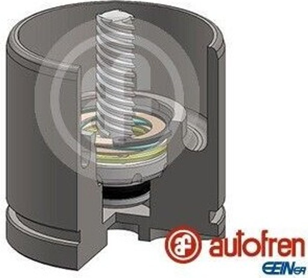 AUTOFREN SEINSA Bremssattel-Kolben für CITROËN C5 II (RC) 54mm