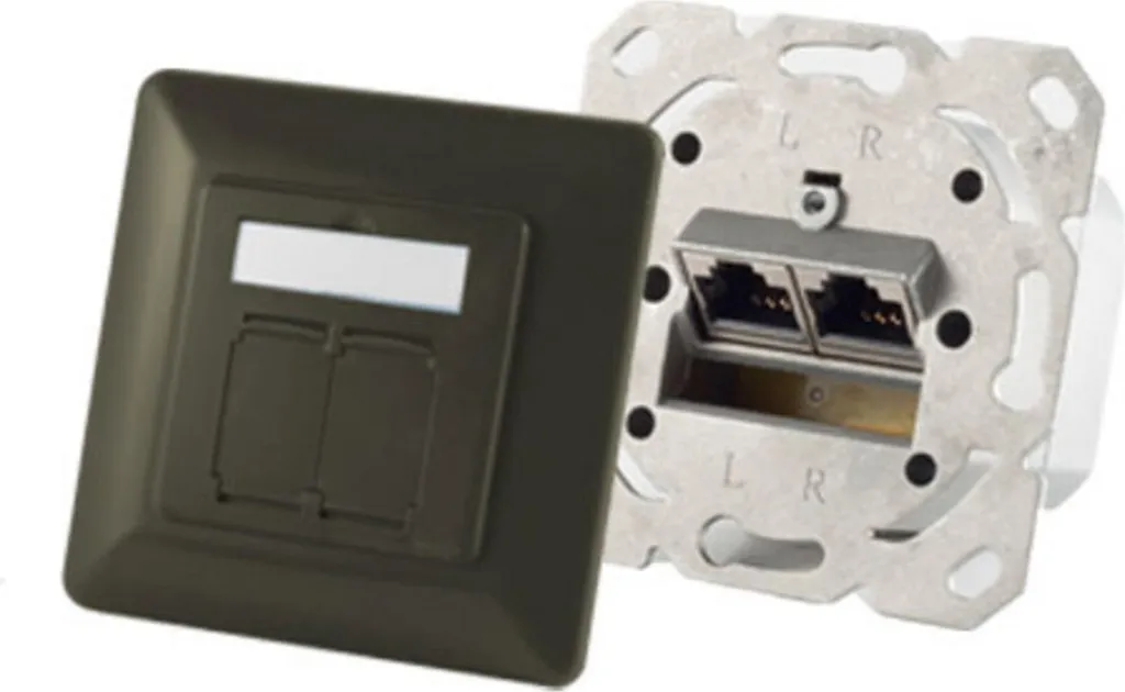 Boîte Réseau 2x RJ45 Cat.6A : Stop aux Interférences et Connexion Lente