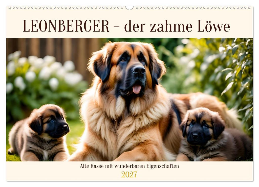 Leonberger - der zahme Löwe (Wandkalender 2027 DIN A2 quer), CALVENDO Monatskalender