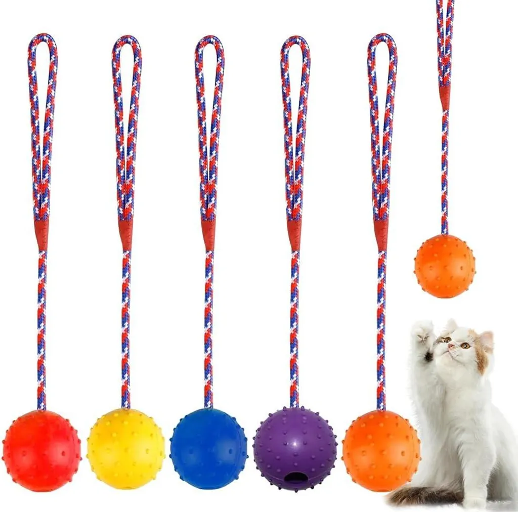Jouet interactif balle de lancer avec cordelette pour petits chiens
