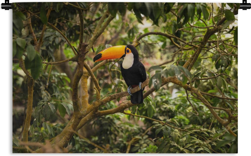 MuchoWow Wandteppich Wandbehang Vogel - Tukan - Dschungel - Natur - Tropisch 60x40 cm Tapisserie Dekoration Wandtuch - Wanddekorationen
