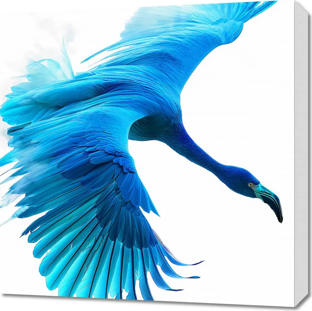 Image Avion Bleu Grand Format 60x60 cm - Impression Haute Qualité Matte