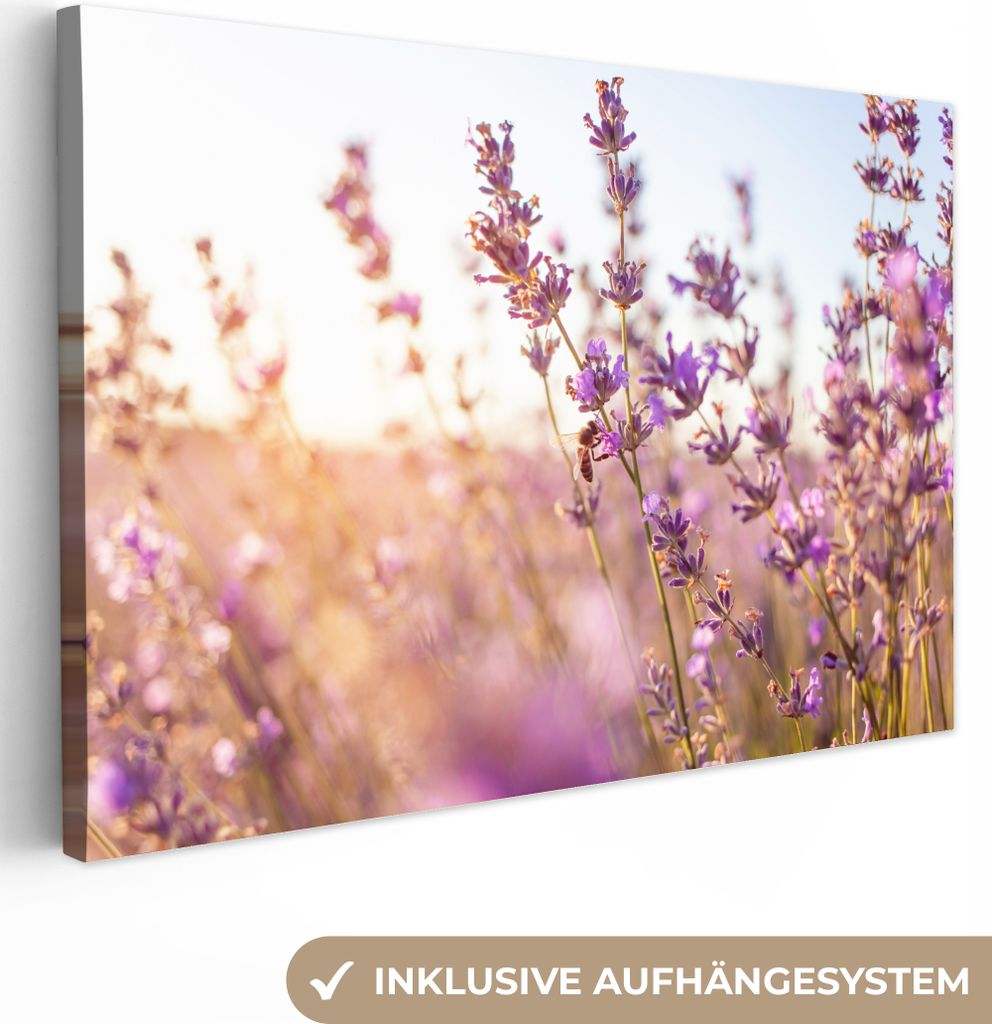 MuchoWow - Leinwandbilder - Lavendel - Nahaufnahme - Sonne - Blumen - Lila, Wandbild, Wanddeko Bilder Wohnzimmer, 90x60 cm