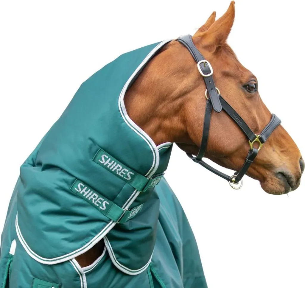 Shires - Copricapo "Highlander Original 300" ER1207 (152cm) (Verde)