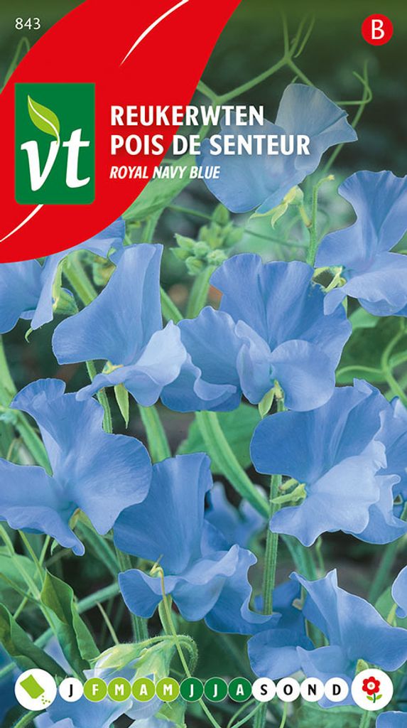 Marineblau Samen - Ca. 3 gr | VT_843