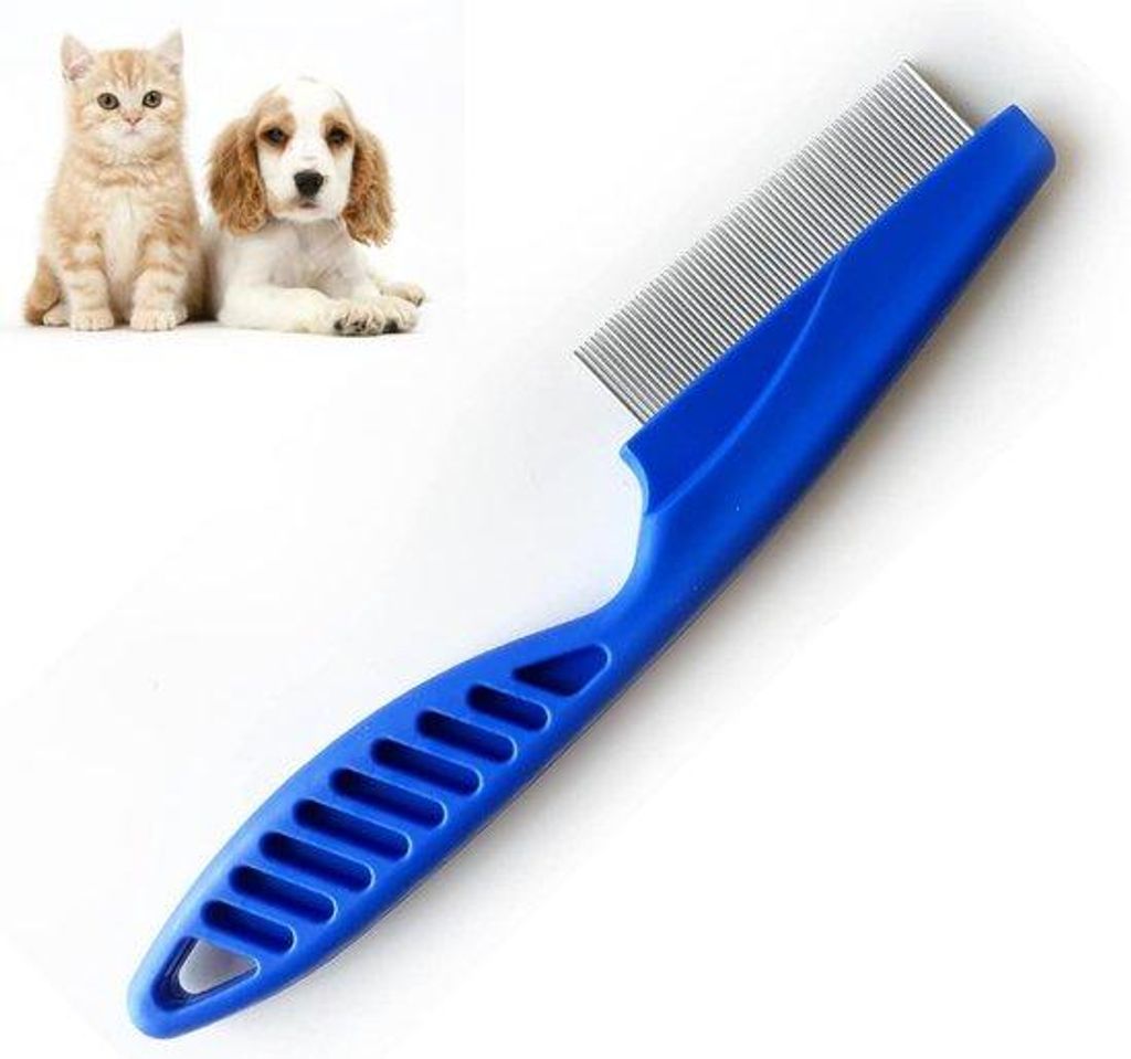 Katzen- und Hundenzahnreiniger blau, Kunststoff