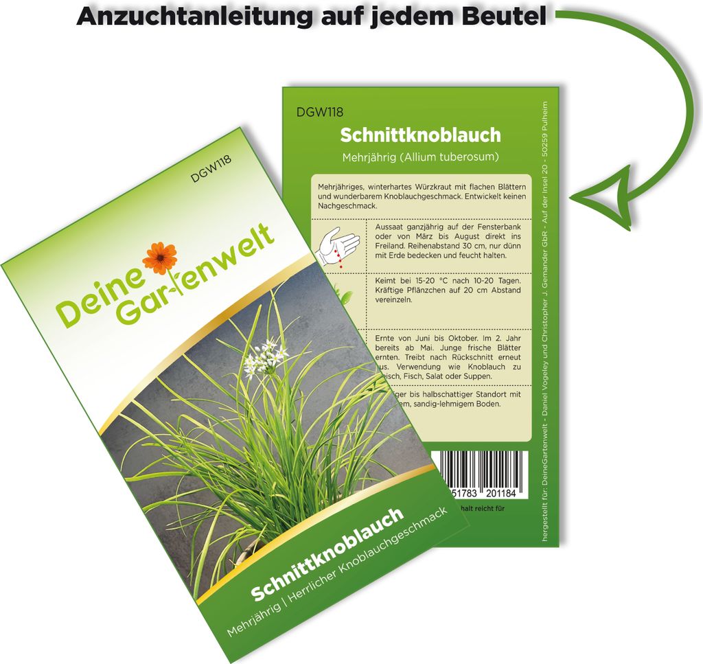 Schnittknoblauch Mehrjährig Samen - Allium tuberosum - Produktbild 3