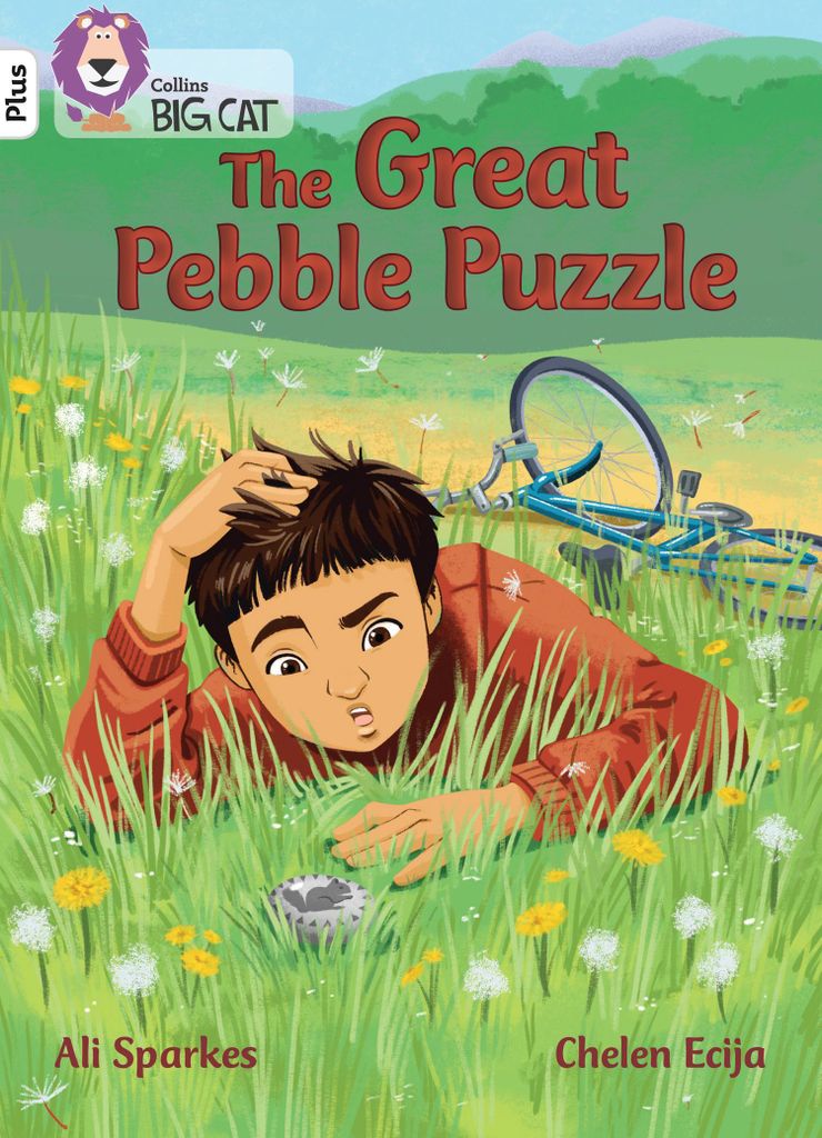 The Great Pebble Puzzle