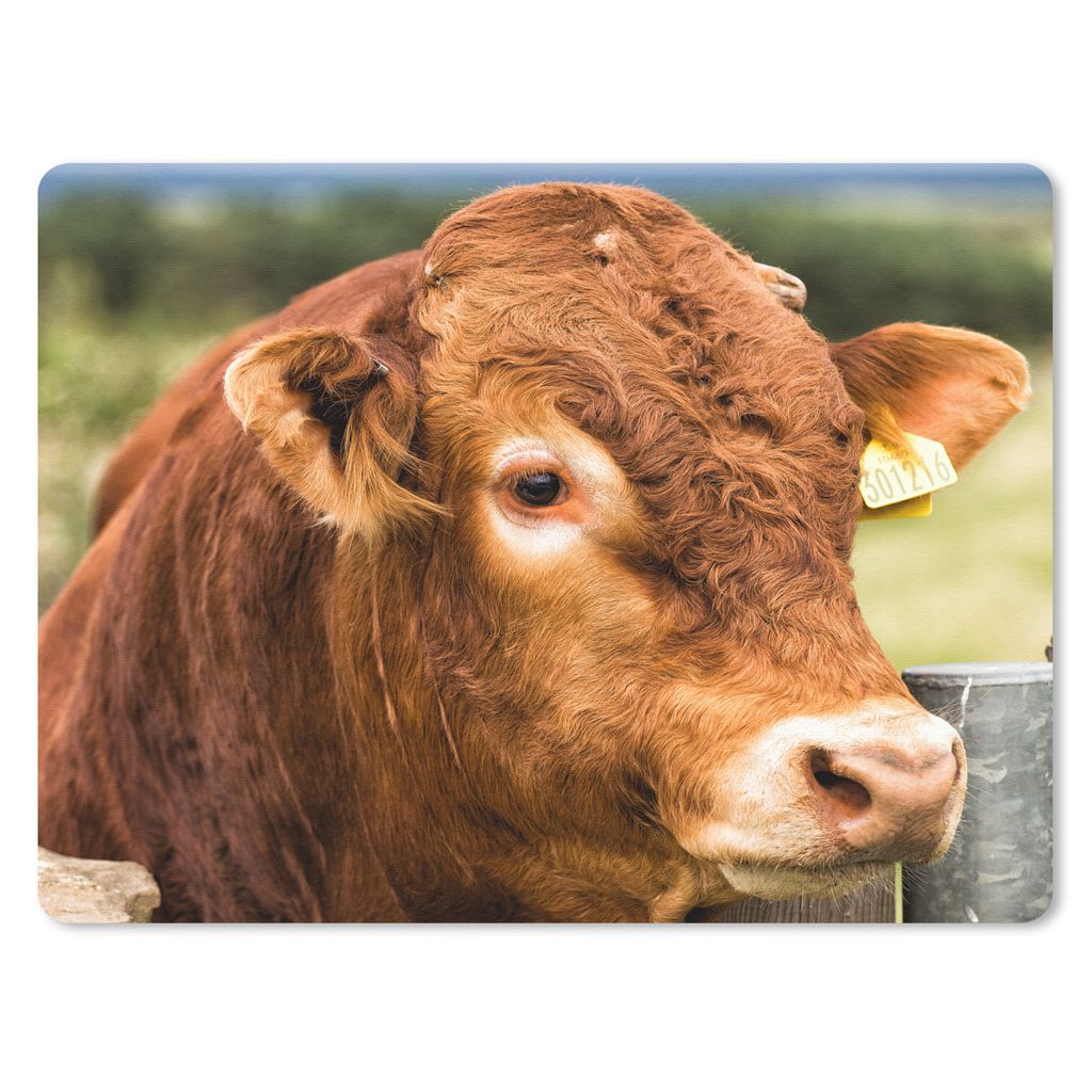 MuchoWow Mauspad Mousepad Schottischer Highlander - Berg - Zaun 40x30 cm - Mousepads - Maus Mat - Pad - Mausunterlage - Anti Rutsch