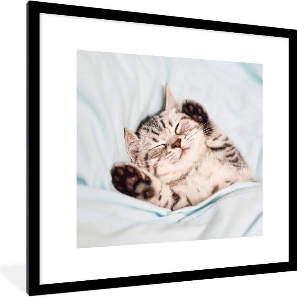 MuchoWow® Gerahmtes Poster Kätzchen - Lustig - Bett - Produktbild 