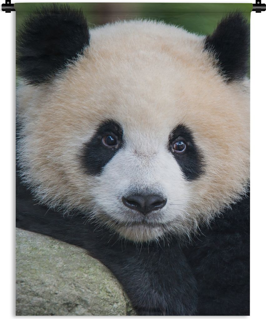 MuchoWow Wandteppich Wandbehang Panda - Wildtiere - Porträt - Stein 60x80 cm Tapisserie Dekoration Wandtuch - Decke - Wandtücher - Wohne
