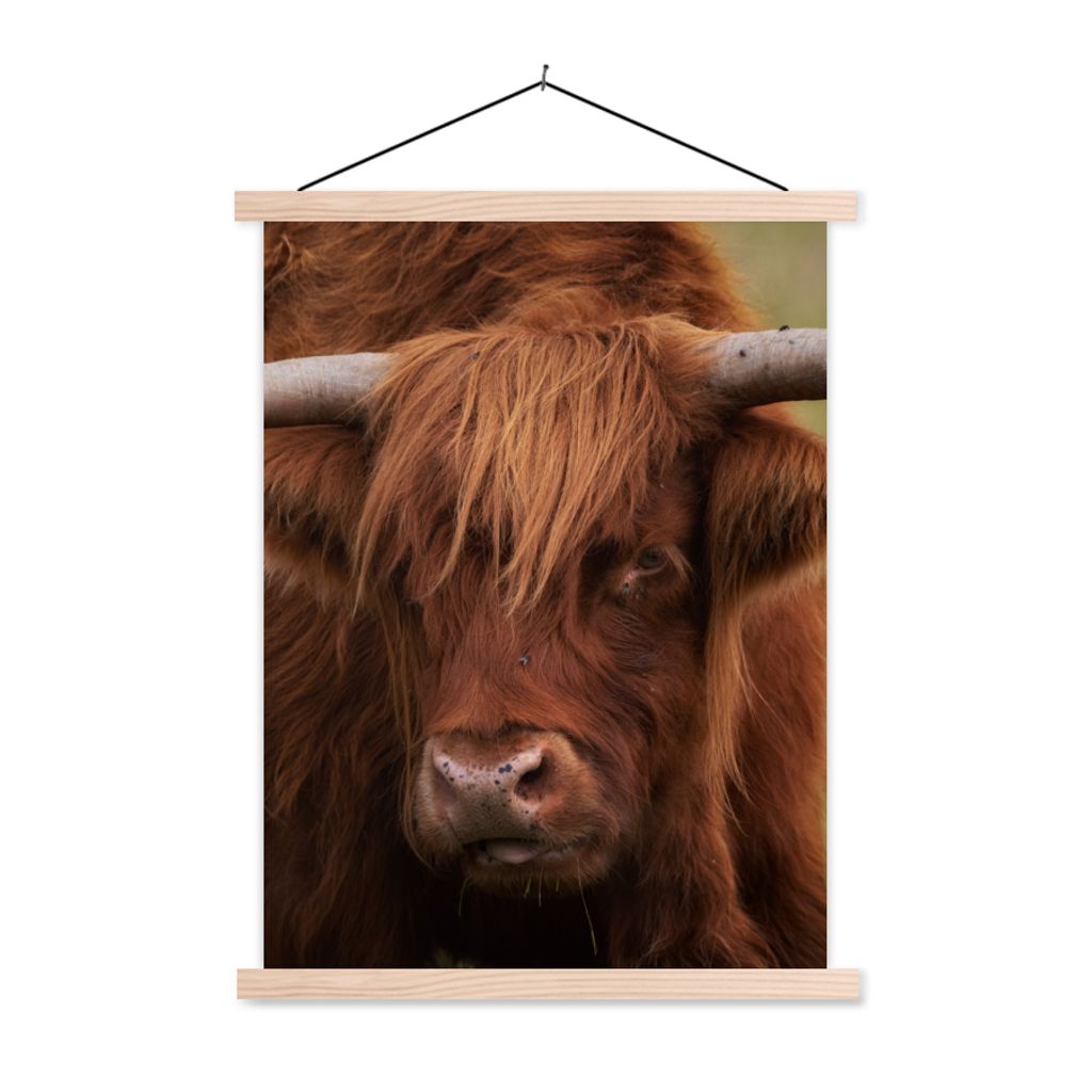 MuchoWow Textilposter Schottischer Highlander - Orange - Tiere 60x80 cm mit holzfarbenen Rahmen - Wandbild