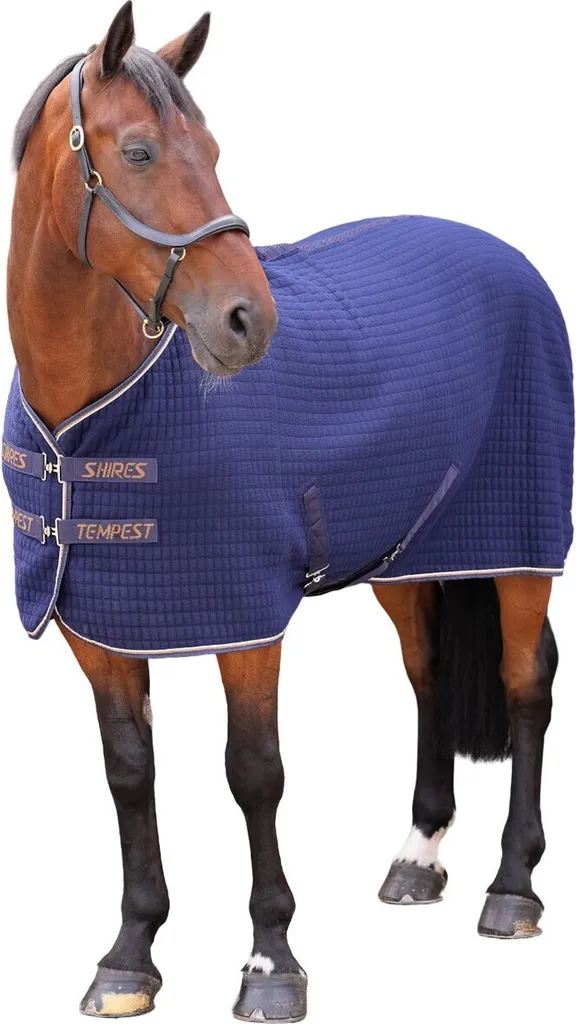 Classico Tappeto Shires Tempest ER478 198,12 cm Blu Inchiostro