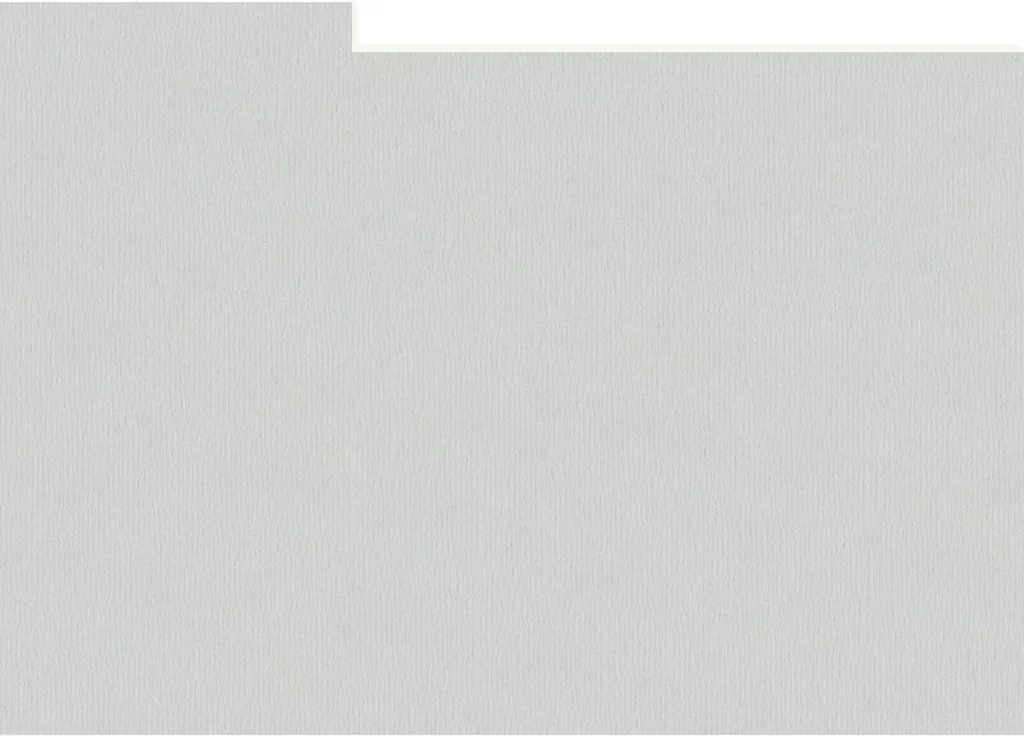 Boîte de Séparation Photo 15x20 cm HNFD Gris Colombe - Pack de 10 Rigide