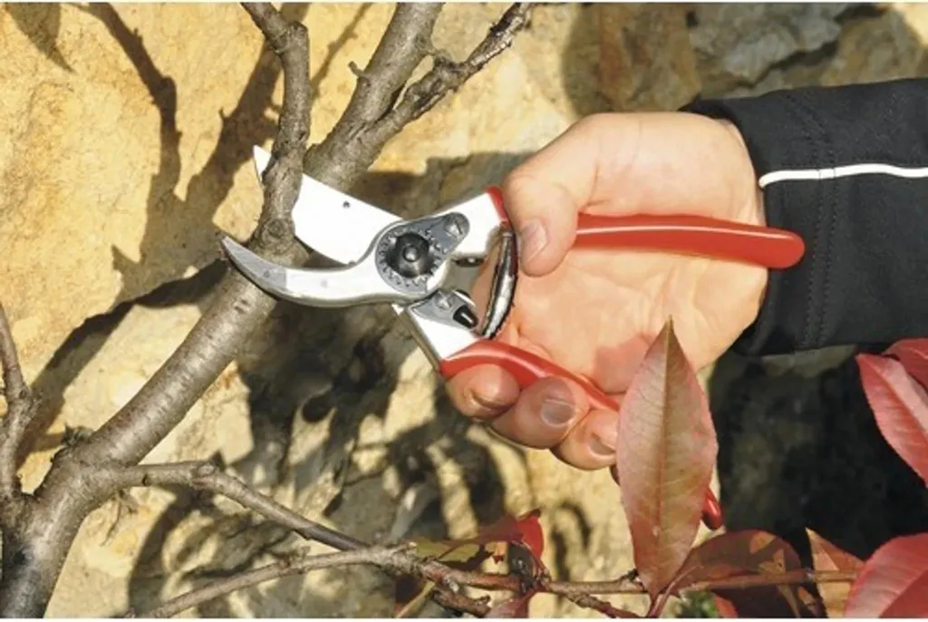 Sécateur Felco 2 Classique en Aluminium Forgé pour Taille de Précision - 5