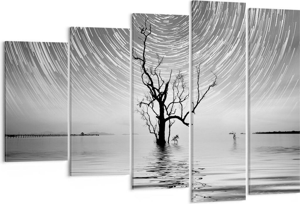 Bild auf Leinwand - Leinwandbild - 5 Teile - Schwarzweiß Baum See - 150x100cm - Wand Bild - Wanddeko - Wandbilder - Leinwanddruck - Bilder - Wandd...