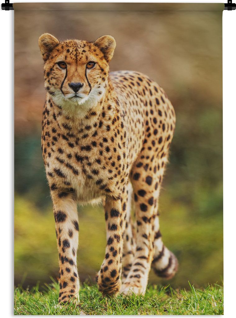 MuchoWow Wandteppich Wandbehang Wildtiere - Gras - Leopard - Natur 60x90 cm Tapisserie Dekoration Wandtuch - Foto-Teppich - Abwaschbar