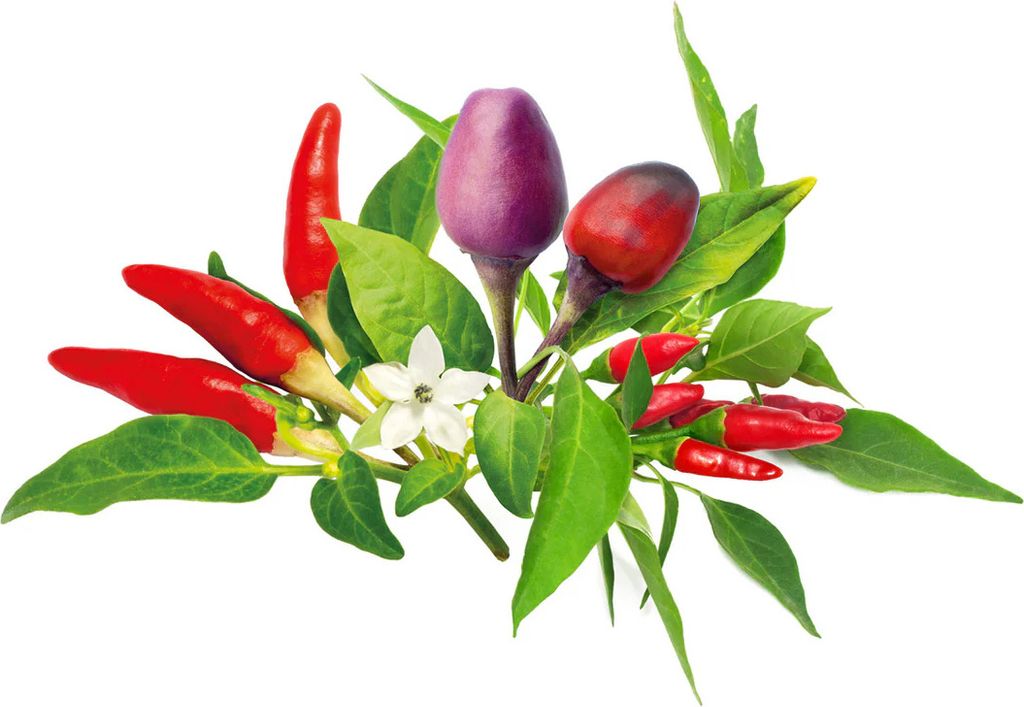 Click & Grow Click & Grow Plant Pod Chilli Pepper Mix 9pcs
