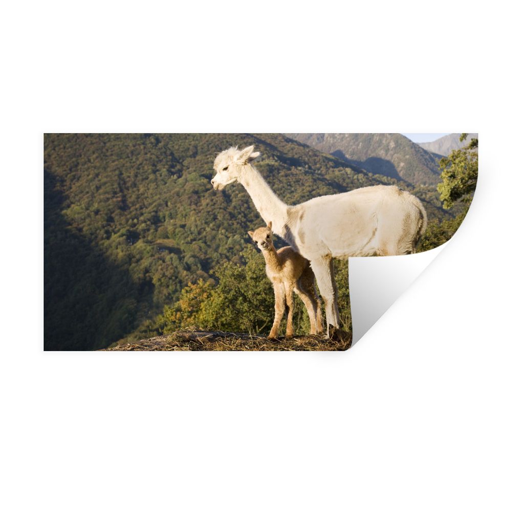 MuchoWow Wandtattoo Wandsticker Wandaufkleber Alpakas - Berge - Natur 40x20 cm Selbstklebend und Repositionierbar - Aufkleber