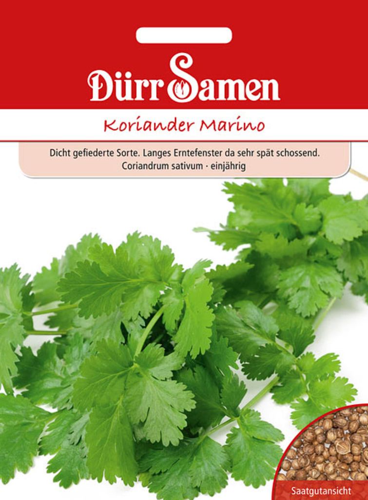 Dürr-Samen - Koriander Marino - Saatgut - 4385