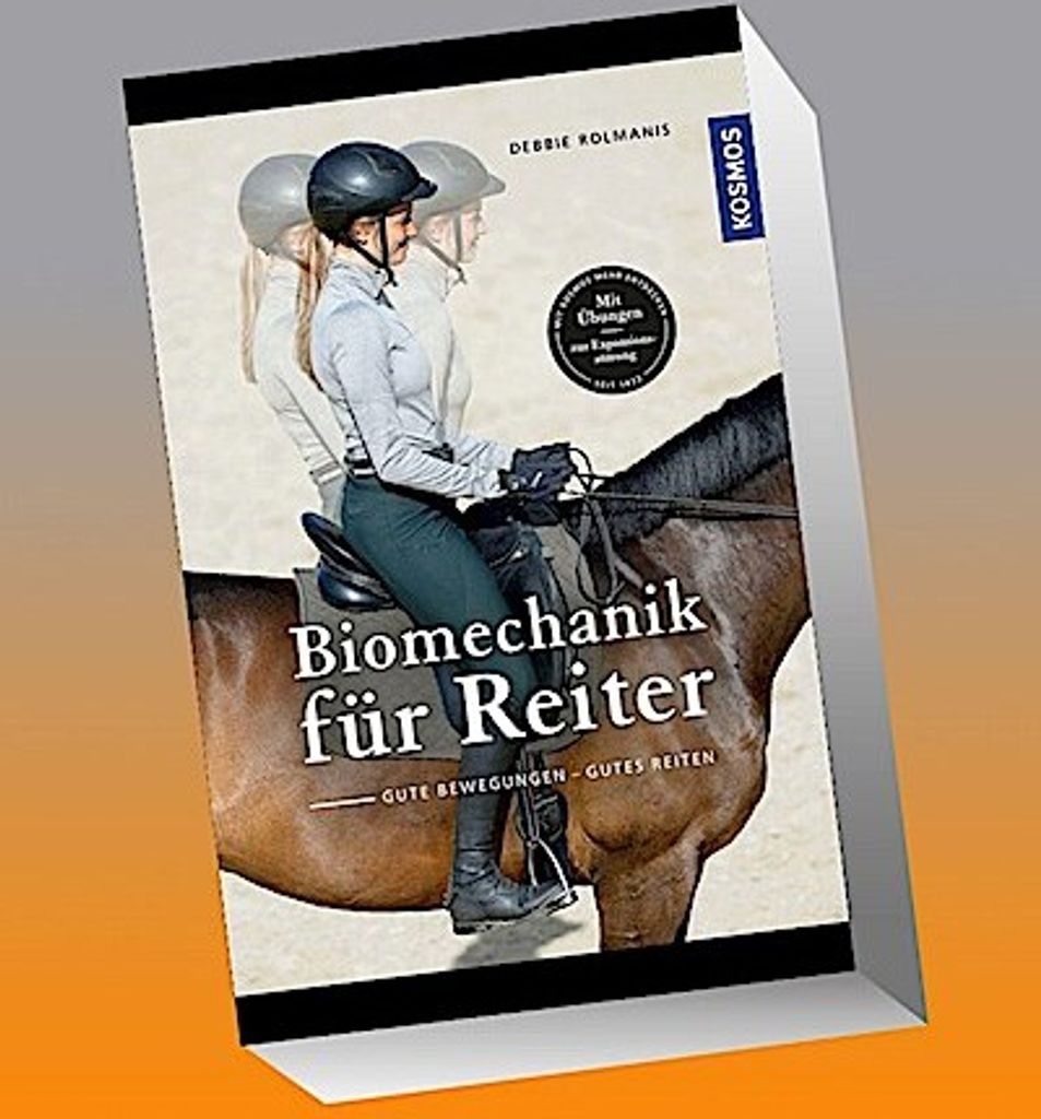 Biomechanik für den Reiter