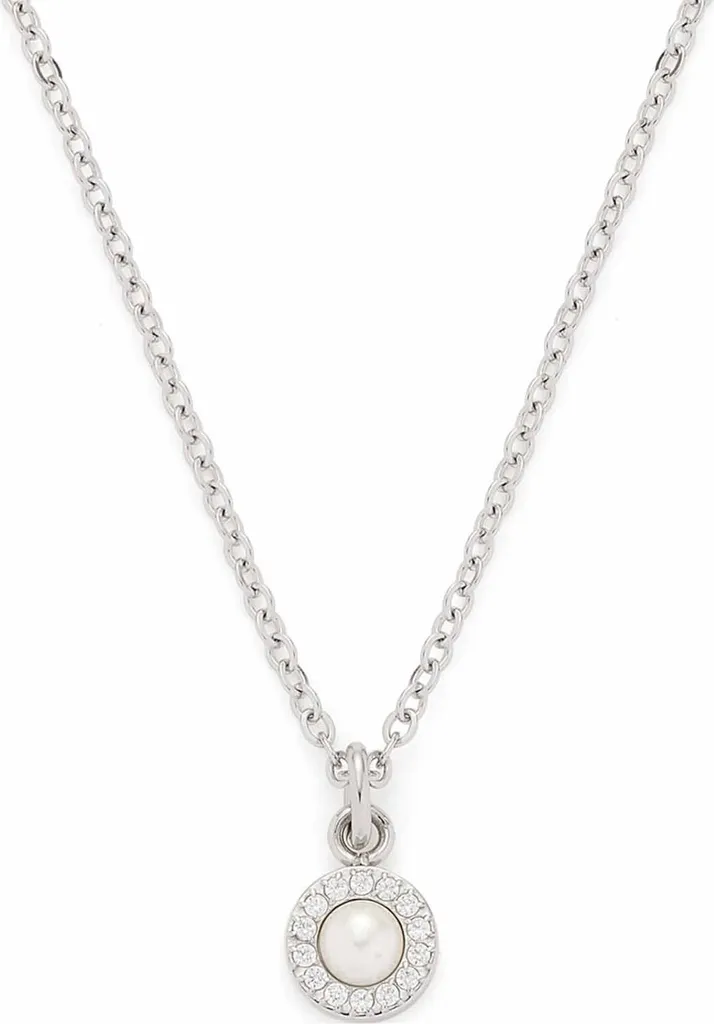 Collier ras de cou femme en acier inoxydable argenté modèle Glitz