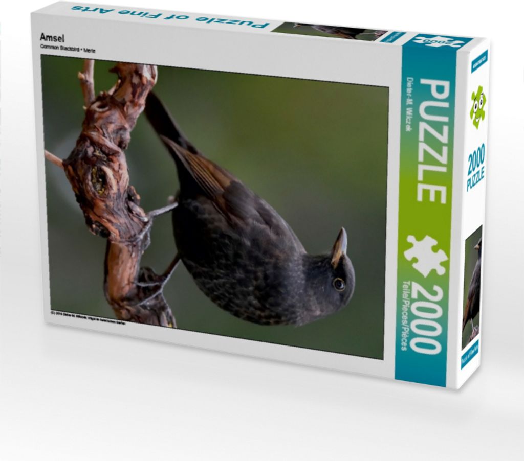 CALVENDO Puzzle Amsel 2000 Teile Puzzle hoch | 2000 Teile Lege-Größe 90x67cm Foto-Puzzle für glückliche Stunden