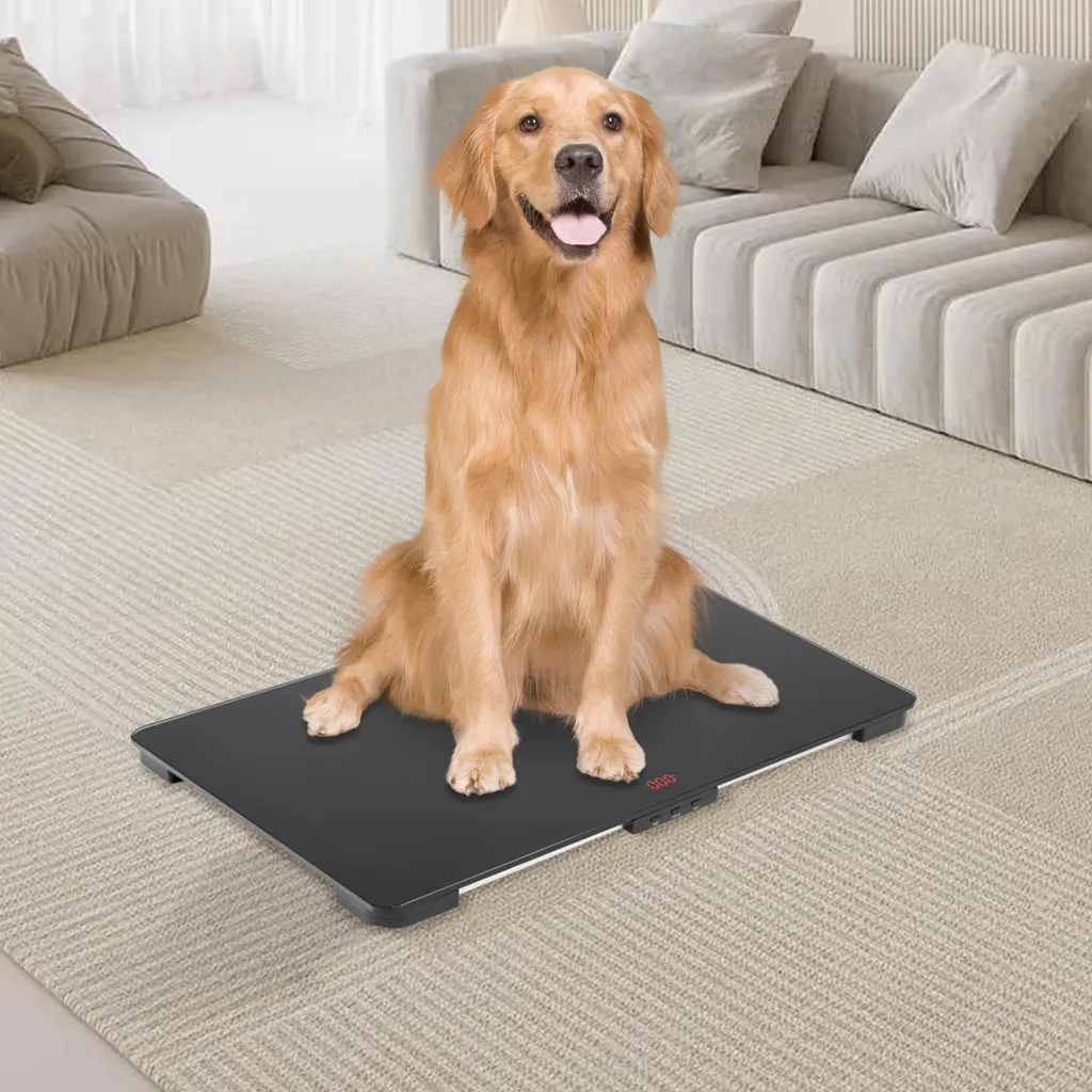 Balance grands chiens 100 kg avec plateau antidérapant et écran LCD