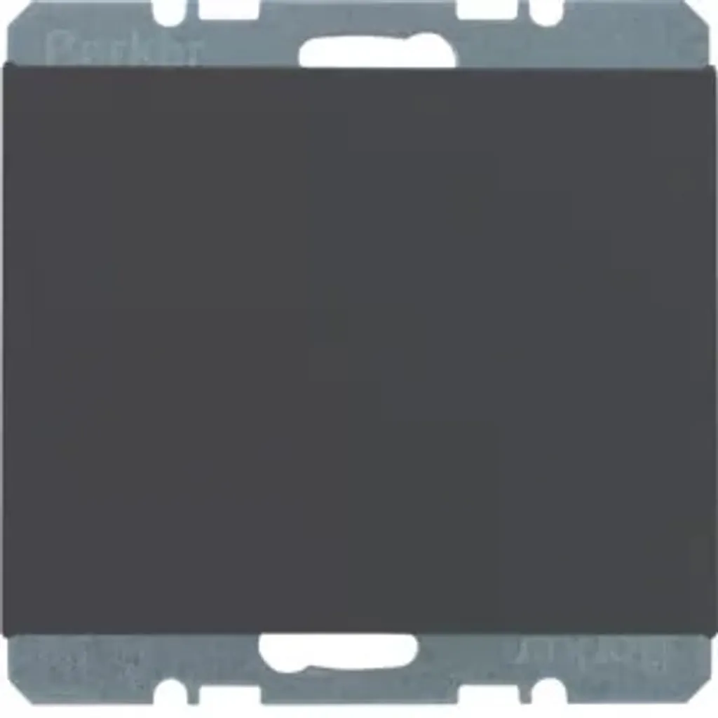 Plaque d'obturation K.1 anthracite avec cache central Berker 10457006