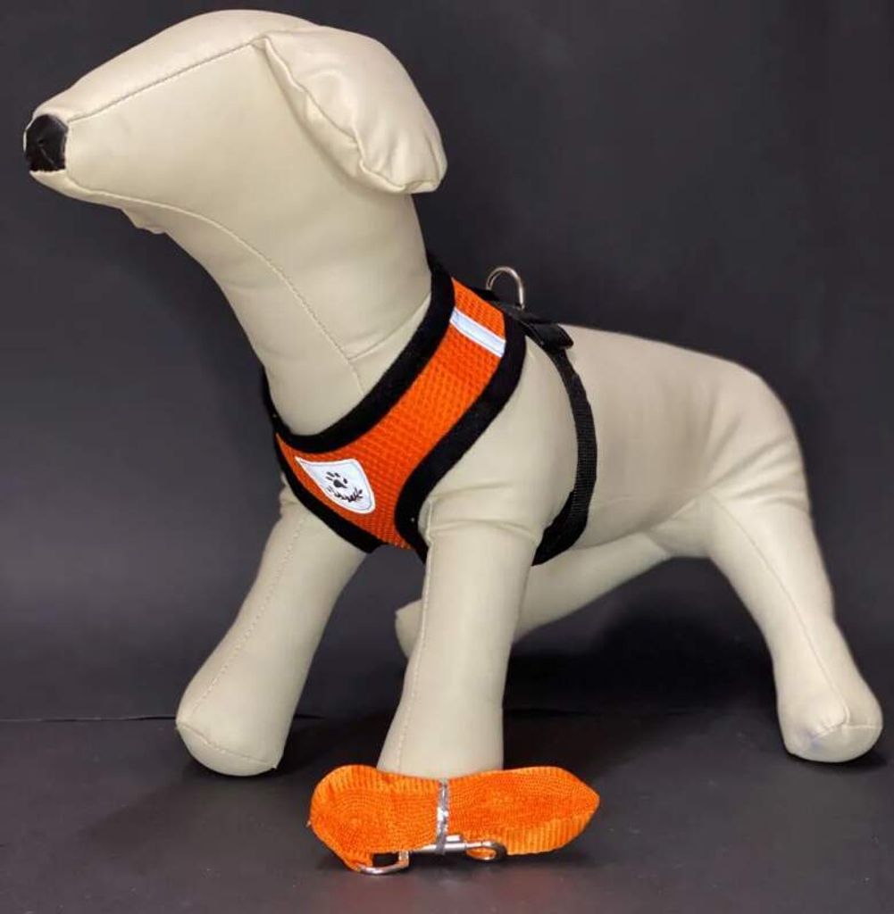 REFLEX Hundegeschirr mit Leine L - orange
