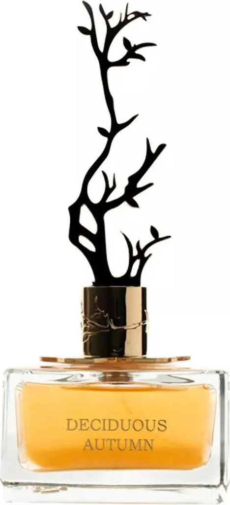 Parfum Aurora Deciduous Autumn 100ml : Finis les Parfums qui s'évaporent