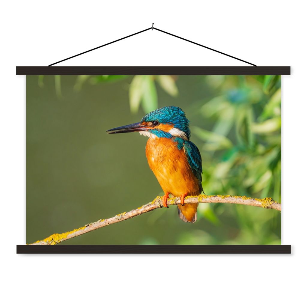MuchoWow Textilposter Vogel - Eisvogel - Zweig - Blätter - Moos 90x60 cm mit schwarzem Rahmen - Aufhängungssatz