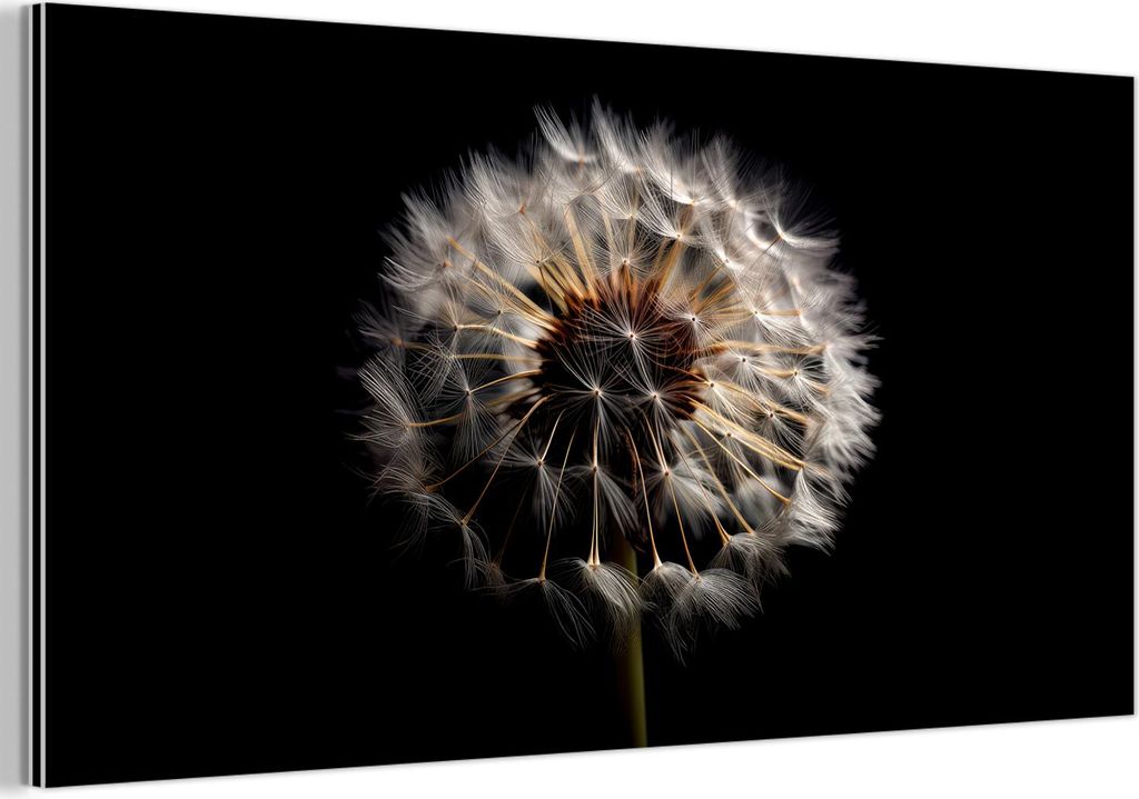 MuchoWow Wanddekoration Metall Metallbild Wandkunst 120x60 cm Blumen - Natur - Löwenzahn - Schwarz - Porträt MuchoWow Aluminium Gemälde - Metalb...