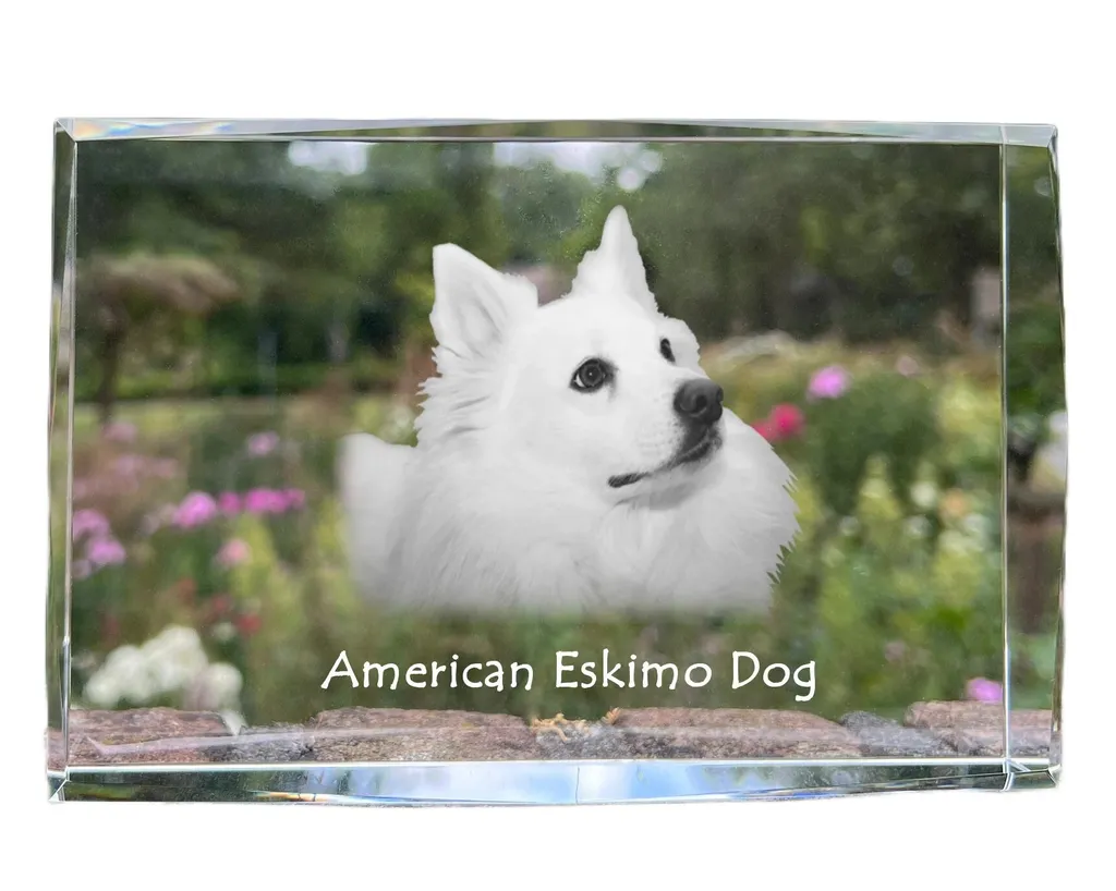 Bloc de Cristal Gravé American Eskimo Dog - Portrait Chien Art-Dog