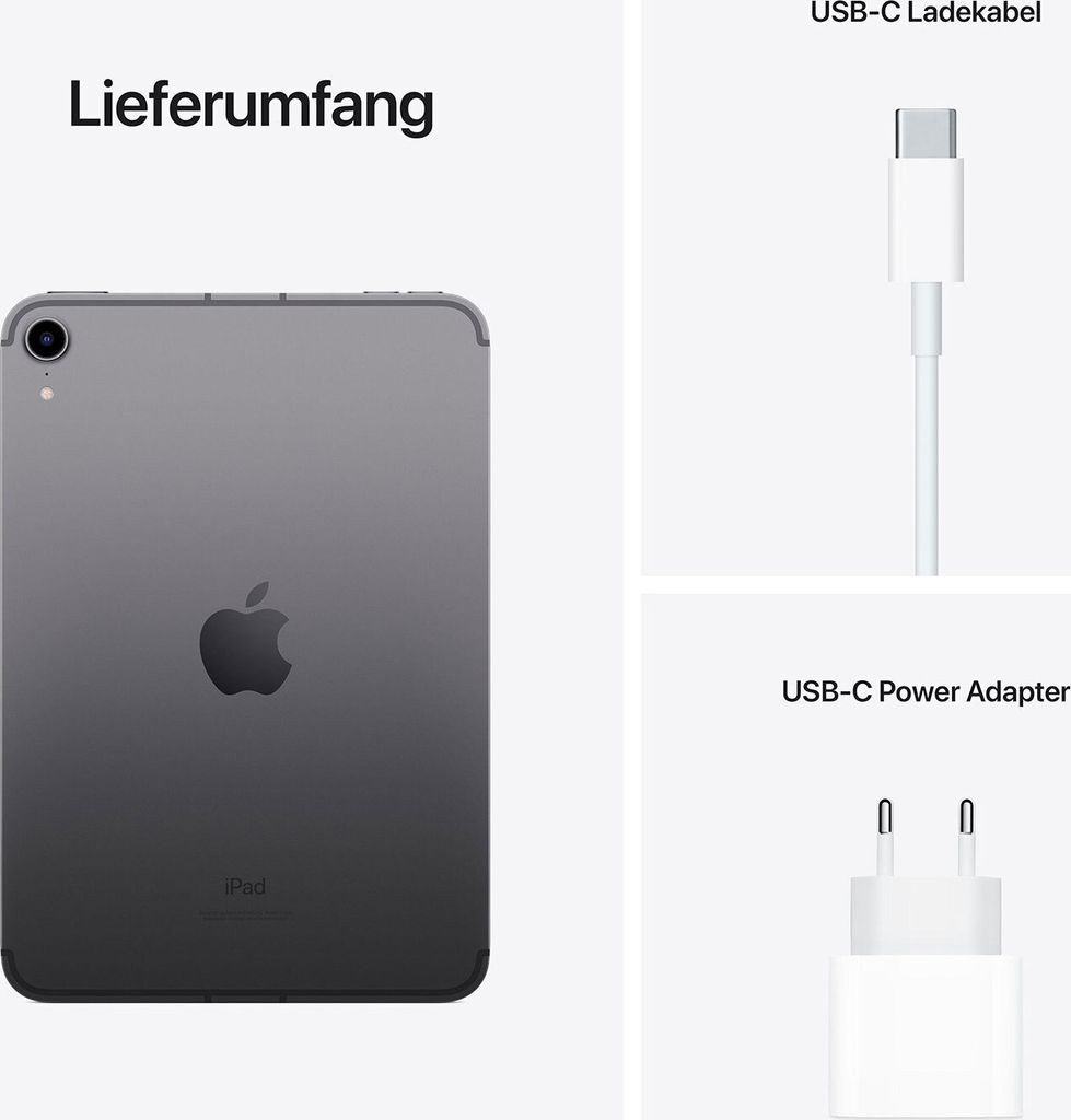 Apple iPad mini LTE 2021 256 GB Pink, Farbe:Spacegrau Image du produit 