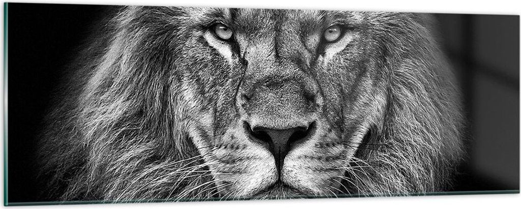Bilder auf glas - Einteilig - Porträt Löwe Schwarzweiß - 90x30cm - Glasbilder - Wandbilder - Bilder - zum Aufhängen bereit - Wanddekoration aus...