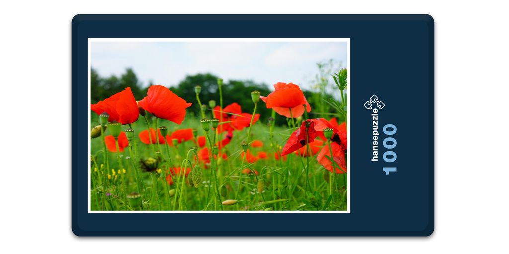 hansepuzzle 16430 - Mohn-Wiese Puzzle, 1000 Teile, Natur, 60,0 x 46,0cm mit hochwertiger Aufbewahrung, Kartonbox und wiederverschließbarem Beutel