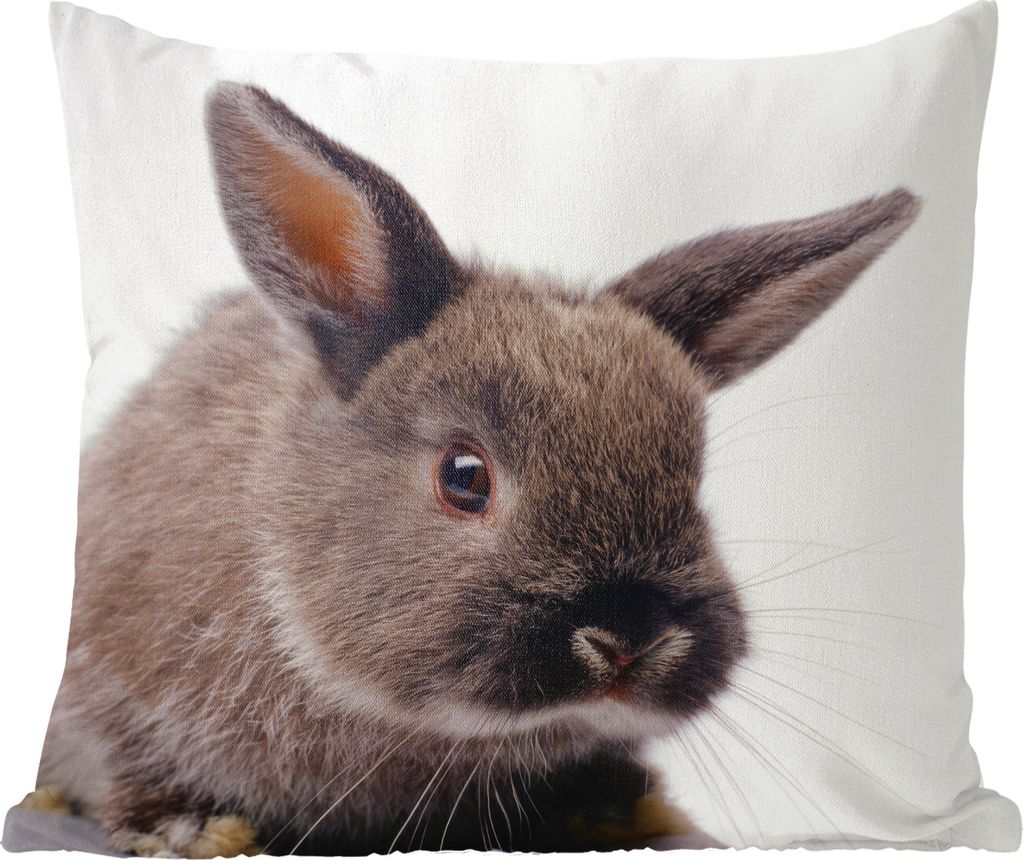 MuchoWow Zierkissen Sofakissen Wohnzimmer Dekokissen 50x50 cm Kaninchen - Haustier - Porträt - Komfort - Sofakissen