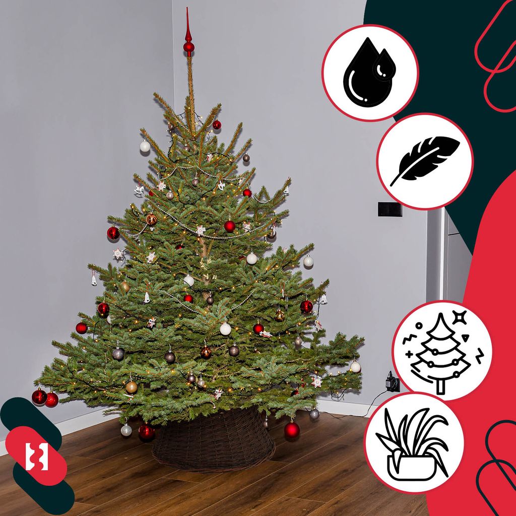 KOTARBAU® Weihnachtsbaum Rock aus Weide Ø 60 cm, Dunkel Produktbild 5