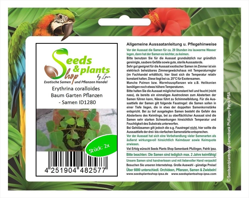 2x Erythrina coralloides Baum Garten Pflanzen - Samen ID1280