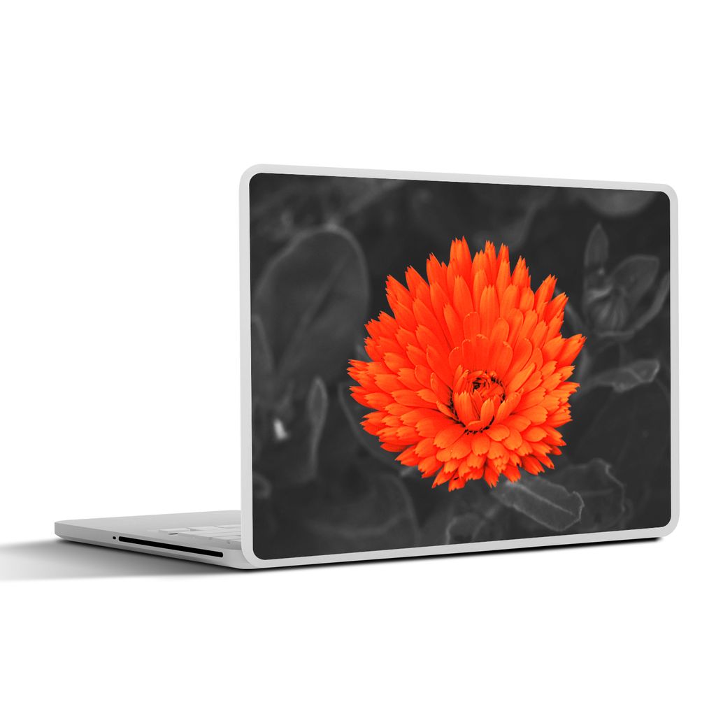 MuchoWow Laptop Aufkleber Sticker Cover Blumen - Orange - Schwarz - Weiß 31x22.5 cm - Laptop-Deko