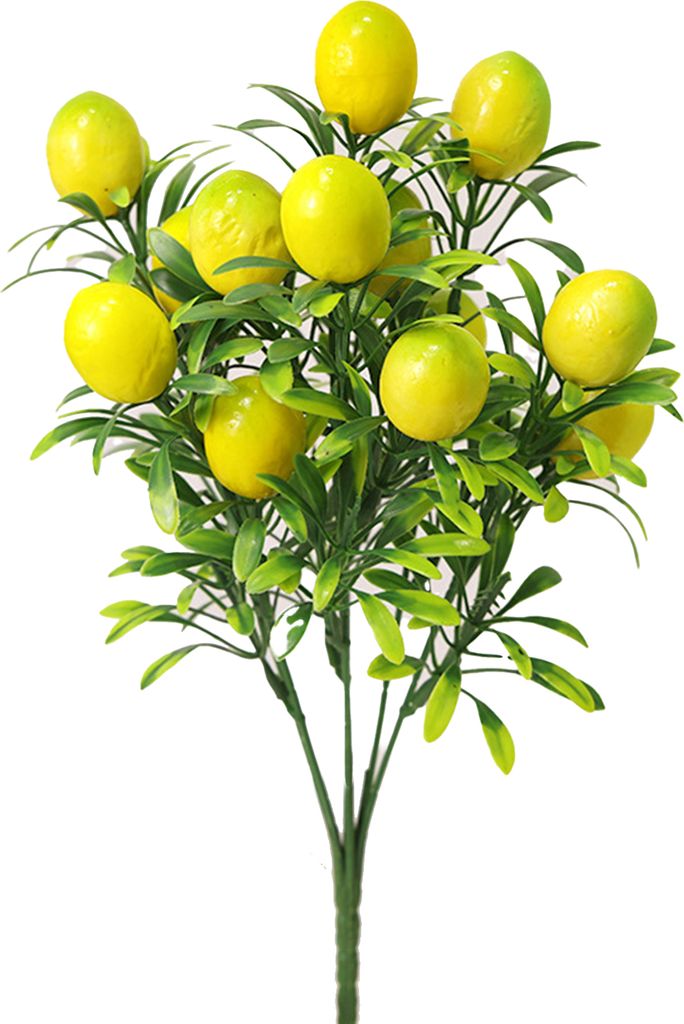 lebendiges Erscheinungsbild realistische künstliche Frucht künstliche orange Zitronenbaum mit grünes Urlaubszweighäuser-B