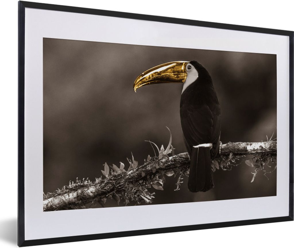 MuchoWow Gerahmtes Poster Vogel - Tukan - Gold - Schwarz 60x40 cm - Poster mit Schwarzem Bilderrahmen Wandposter Rahmen Foto Bilder - Schlafzimme...