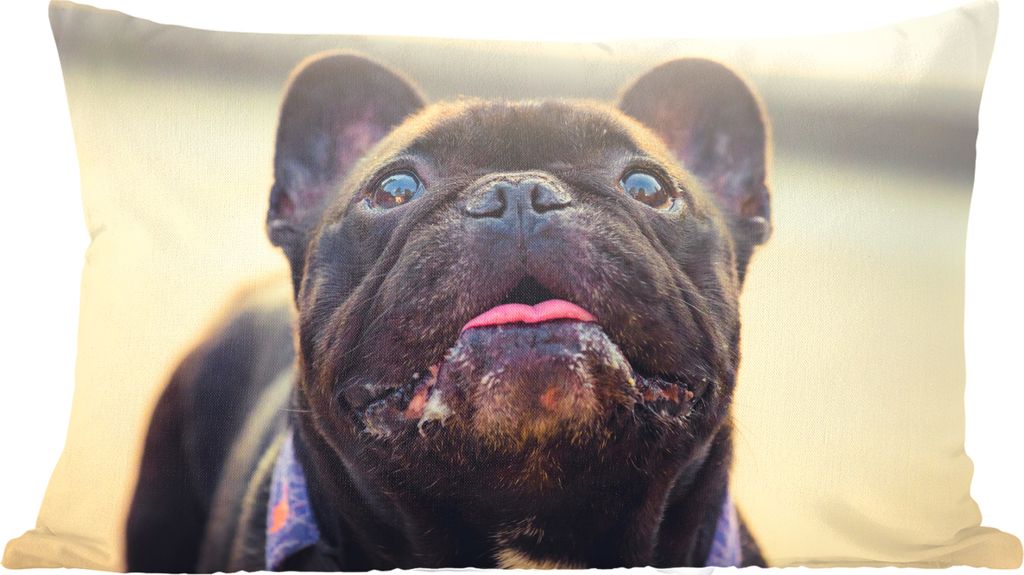 MuchoWow Zierkissen Sofakissen Wohnzimmer Dekokissen 50x30 cm Französische Bulldogge - Schwarz - Sonne - Wohnzimmerdekoration - Polster mit Photo