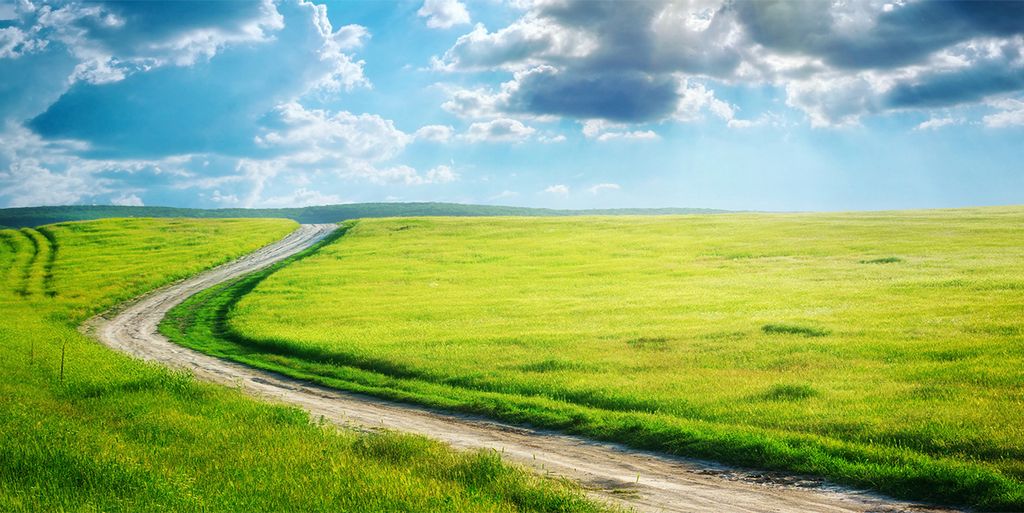 Tulup Glas-Bild -140x70- Wandkunst Dekorative Wand für Küche & Wohnzimmer - Landschaften - Pfad Wiese - Grün