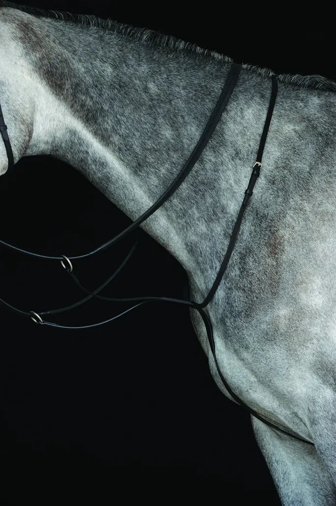 Offerta Collegiate Martingala IV WB271 Pony - Cuoio Nero da Gara